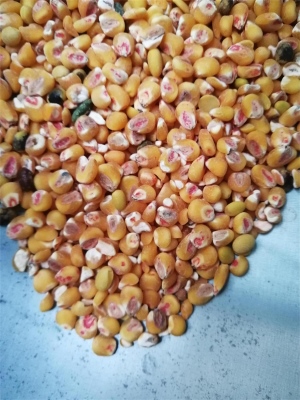 去香蕉视频APP下载藥種子包衣外皮去皮機